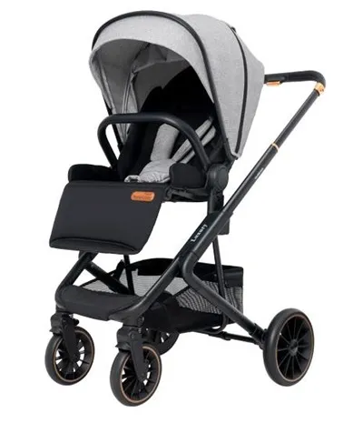 Stroller Am 6 Mis Oed